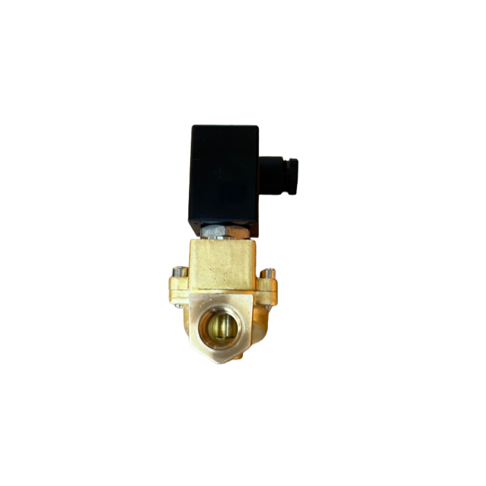 Truckned luchthoorn aansluit kit 12V - aansluit set voor 2 luchthoorns met 12v bediening - SUPER DIK geluid