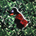 PIN - Angry Duck Rood - 3D effect - verzamel alle pins - deens pluche - EAN: 8721129702935 - 702935