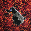 PIN - Angry Duck Grijs - 3D effect - verzamel alle pins - deens pluche - EAN: 8721129702966 - 702966