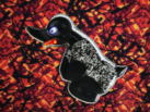 PIN - Angry Duck Grau - 3D-Effekt - sammle alle Pins - dänischer Plüsch - EAN: 8721129702966 - 702966